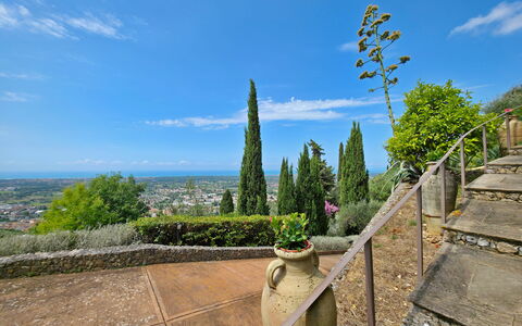 Uno Sguardo sul Mare: Paisaje, Paisajismo, Hojas Perennes, Jardín Botánico, Familia De Pino