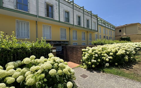 Ai Cantici: Arbusto, Jardín, Paisajismo, Sombra, Cobertura, Yarda, Patio, Inmuebles, Césped, Patio Interior