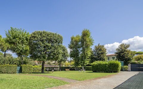 Attico Marino: Verde, Hierba, Arbusto, Espacio Publico, Jardín, Cobertura Del Suelo, Césped, Sombra, Cobertura, Paisajismo