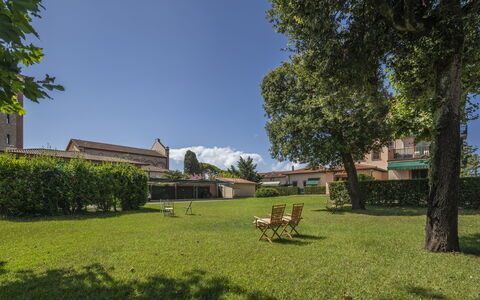 Attico Marino: Hierba, Árbol, Arbusto, Paisaje, El Terreno Del Lote, Jardín, Césped, Cobertura Del Suelo, Sombra