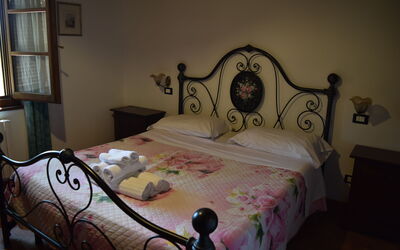 Alojamiento:&nbsp;Nido