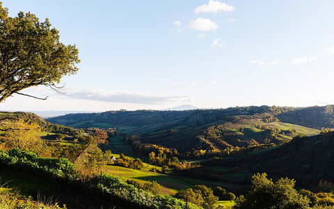 Villa Sassinoro: Accidentes Geográficos Montañosas, Verde, Colina, Naturaleza, Paisaje Natural, Vegetación, Montaña, Pradera, Tierras Altas, Paisaje