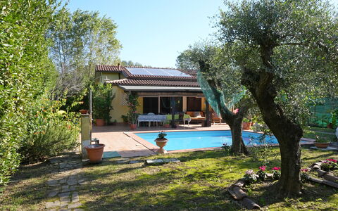 La Sevillana: Casa, Jardín, Patio Interior, Hacienda, Sombra, Yarda, Cabaña, Inmuebles, Paisajismo, Casa De Campo