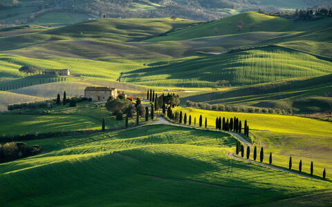 Oliveto del Cantarello: Hierba, Paisaje Natural, Colina, Pradera, Paisaje, Tierras Altas, Campo, Llanura, Área Rural, Prado