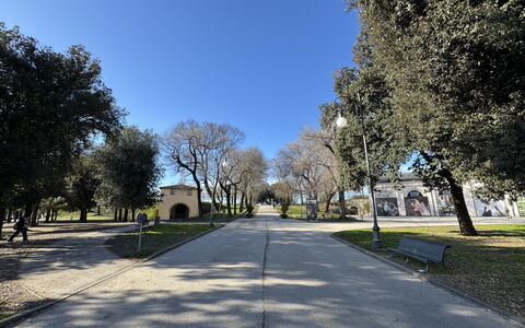 Casa Capolino: Árbol, Hierba, Rama, Superficie De La Carretera, Espacio Publico, Plantas Leñosas, Sombra, Parque, Entrada De Coches, Acera