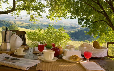 Novellina: Vajilla, Mueble, Mesa, Comida, Drinkware, Manteles, Utensilios Para Servir, Vajilla, Plato, Desayuno