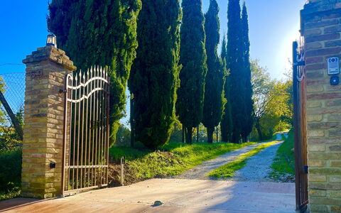 Villa Vindelbono: Jardín, Paisajismo, Pasarela, Sombra, Hojas Perennes
