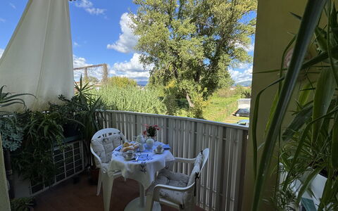 Liz: Mueble, Silla, Mesa, Mesa Al Aire Libre, Mueble Para Exteriores, Cocina Y Comedor Mesa, Sombra, Balcón, Planta De Casa, Patio Interior