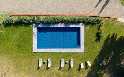 La Morella: Piscina, Ocio, Jardín, Césped, Mueble Para Exteriores, Paisajismo, Recurso, Césped Artificial, Fuente De Agua, Patio Interior