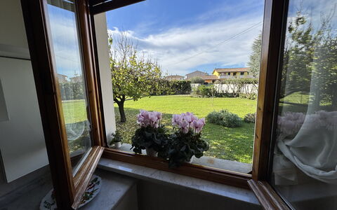 Villa Lory: Jardín, Maceta, Planta De Casa, Paisajismo, Yarda, La Luz Del Día, Balcón, Patio Interior, Floristas