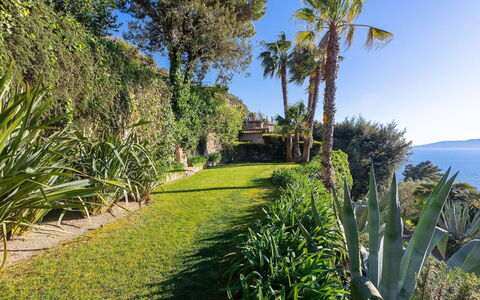 La Terrazza sul Mare: Azul, Verde, Vegetación, Mar, Arbusto, Oceano, Costa, Costeras Y Los Accidentes Geográficos Oceánico, Planta De La Comunidad, Jardín