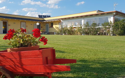 Appartamento Ibisco Seaside and Pool: Césped, Jardín, Sombra, Yarda, Silla, Paisajismo, Mueble Para Exteriores, Patio Interior, Maceta, Planta De Casa