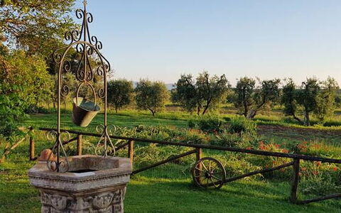 Appartamento Ibisco Seaside and Pool: Llanura, Jardín, Parque, Césped, Yarda, Paisajismo, Plantación, Jardín Botánico, Granja, Patio Interior