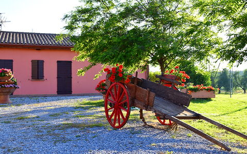 Appartamento Ibisco Seaside and Pool: Jardín, Paisajismo, Yarda, Entrada De Coches, Maceta, Hacienda