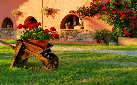 Suite Orchidea Seaside and Pool: Jardín, Paisajismo, Yarda, Maceta, Patio Interior, Hacienda, Planta De Casa