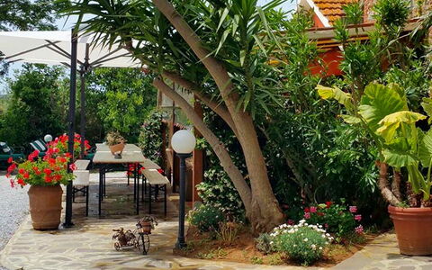 Appartamento Papavero Seaside and Pool: Verde, Maceta, Jardín, Mueble, Sombra, Mueble Para Exteriores, Patio Interior, Planta De Casa, Silla