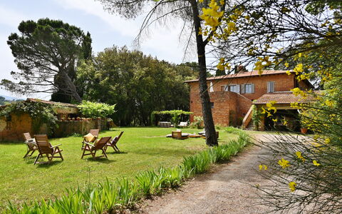 Casale Il Rondò, Private Pool, Città della Pieve: Arbusto, Casa, Casa, Cabaña, Jardín, Inmuebles, Patio Interior, Césped, Casa De Campo