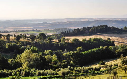 Casale Il Rondò, Private Pool, Città della Pieve: Árbol, Entorno Natural, Verde, Paisaje Natural, Vegetación, Colina, Ecorregión, Pradera, Paisaje, Llanura