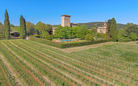 Medieval Castle Living: Vineyards, Swimming Pool &: Plantación, Agricultura, Jardín, Viñedo, Cobertura, Granja