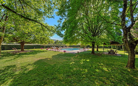 Medieval Castle Living: Vineyards, Swimming Pool &: Árbol, Naturaleza, Hoja, Rama, Jardín, Luz De Sol, Sombra, Césped, Parque, Paisajismo