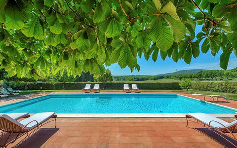 Medieval Castle Living: Vineyards, Swimming Pool &: Jardín, Sombra, Recurso, Eco Hotel, Piscina, Hacienda, Mueble Para Exteriores, Plantación, Villa, Casa De Campo
