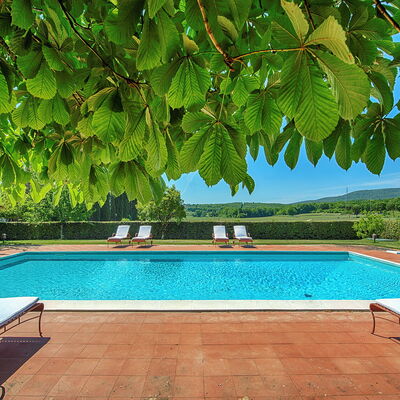 Medieval Castle Living: Vineyards, Swimming Pool &