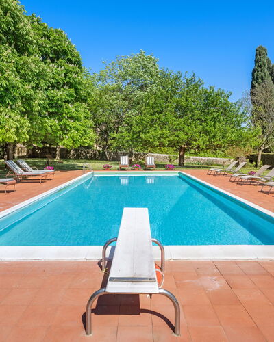 Medieval Castle Living: Vineyards, Swimming Pool &: Arbusto, Jardín, Piscina, Inmuebles, Hacienda, Sombra, Paisajismo, Césped, Villa, Recurso