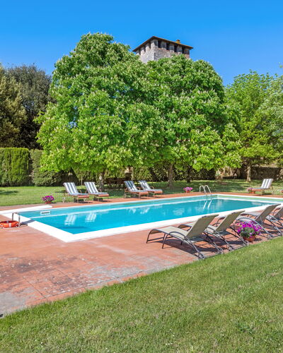 Medieval Castle Living: Vineyards, Swimming Pool &: Árbol, Arbusto, Jardín, Césped, Inmuebles, Plantación, Piscina, Parque, Paisajismo, Hacienda