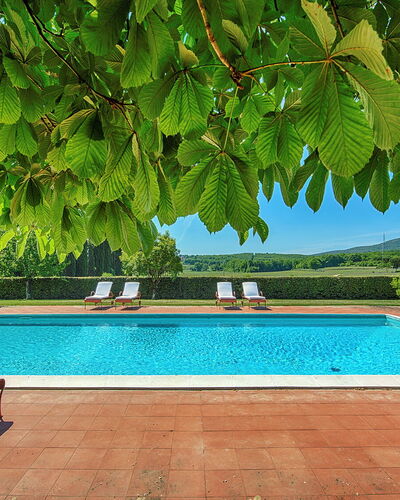 Medieval Castle Living: Vineyards, Swimming Pool &: Jardín, Sombra, Recurso, Eco Hotel, Piscina, Hacienda, Mueble Para Exteriores, Plantación, Villa, Casa De Campo