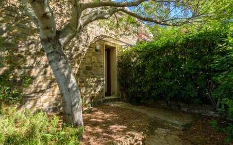 Montparnasse: Pared, Verde, Hoja, Vegetación, Arbusto, Cobertura Del Suelo, Luz De Sol, Pared De Piedra, Jardín, Ramita
