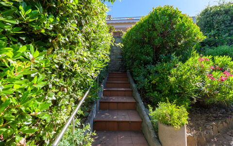 Montparnasse: Verde, Hoja, Arbusto, Planta De La Comunidad, Jardín, Plantas Leñosas, Cobertura, Pasarela, Sombra, Paisajismo