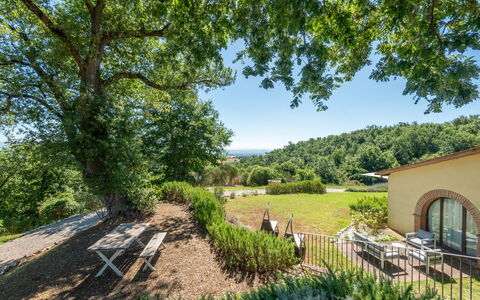 Cignella Resort: Árbol, Hoja, Vegetación, Paisaje Natural, Arbusto, Paisaje, El Terreno Del Lote, Área Rural, Planta De La Comunidad