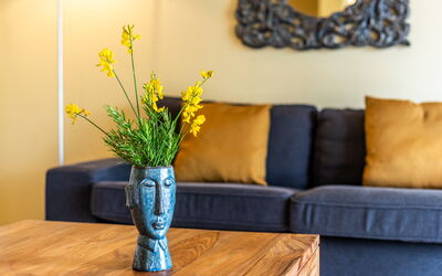 Alojamiento:&nbsp;Villa Limone