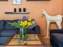 Alojamiento:&nbsp;Pesca