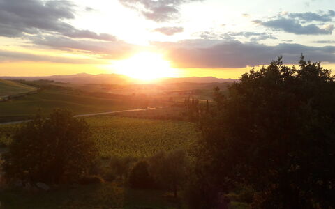 Podere Peteglia: Dom, Horizonte, Naturaleza, Puesta De Sol, Paisaje Natural, Amanecer, Resplandor Crepuscular, Colina, Paisaje, Oscuridad