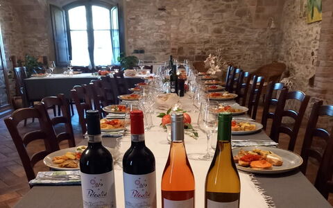 Podere Peteglia: Mueble, Botella, Restaurante, Silla, Vino, Planta De Casa, Botella De Vidrio, Barware, Cocina Y Comedor Mesa