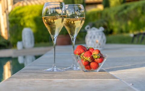 Podere Peteglia: Stemware, Vajilla, Drinkware, Copa De Vino, Barware, Vino, Champán