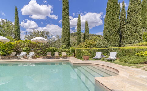 Podere Peteglia: Azul, Jardín, Paisajismo, Hojas Perennes, Piscina, Alerce, Familia De Pino
