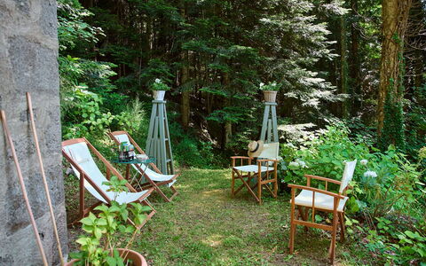 Il Gallinaio, Vivo D'Orcia: Madera, Vegetación, Mueble, Planta De La Comunidad, Mueble Para Exteriores, El Maletero, Jardín, Cobertura Del Suelo, Primavera, Silla