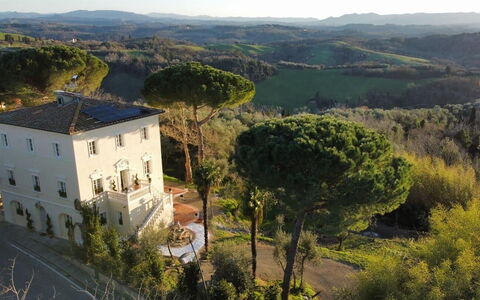 Villa Elisa: Barrio Residencial, Casa, Arquitectura, Arbusto, Paisaje, Inmuebles, Casa, Asentamientos Humanos, Mansión, Hacienda