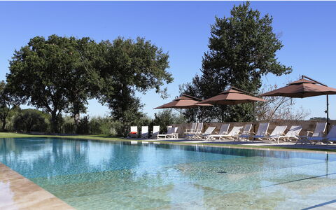 Poggio Mori 20: Piscina, Agua, Árbol, Reflexión, Mueble Para Exteriores, Recurso, Fuente De Agua, Jardín, Sunlounger, Sombra