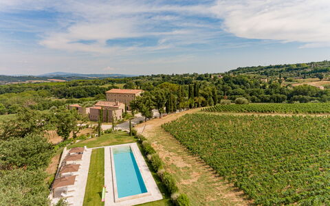 Poggio Mori 20: Paisaje, Área Rural, El Terreno Del Lote, Plantación, Llanura, Agricultura, Inmuebles, Campo, Granja, Prado