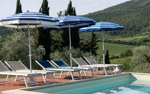 Podere le Lune with Pool, San Gimignano: Mueble Para Exteriores, Recurso, Sombra, Mesa Al Aire Libre, Piscina, Sunlounger, Silla, Eco Hotel, Paraguas, Planta De Casa