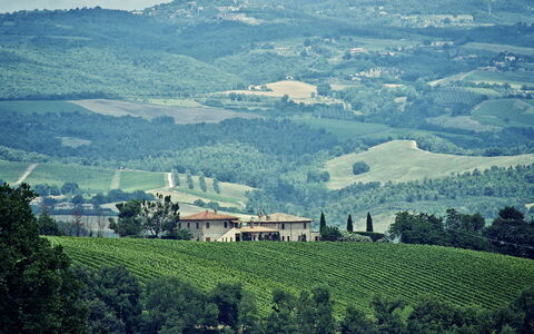 Selvamica: Colina, Paisaje Natural, Tierras Altas, Horizonte, Pradera, Paisaje, Agricultura, Área Rural, Campo, Plantación