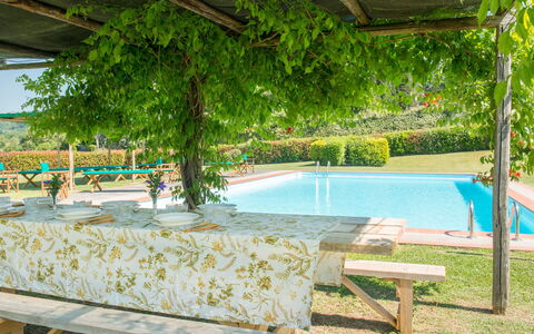 Martini: Sombra, Jardín, Piscina, Eco Hotel, Hacienda, Mueble Para Exteriores, Recurso, Patio Interior, Plantación, Estructura Al Aire Libre