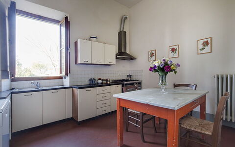 Martini: Piso, Cocina, Diseño De Interiores, Aparato De Cocina, Mueble, Mostrador, Gabinetes, Casa, Suelo, Electrodoméstico