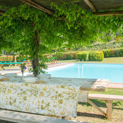 Martini: Sombra, Jardín, Piscina, Eco Hotel, Hacienda, Mueble Para Exteriores, Recurso, Patio Interior, Plantación, Estructura Al Aire Libre