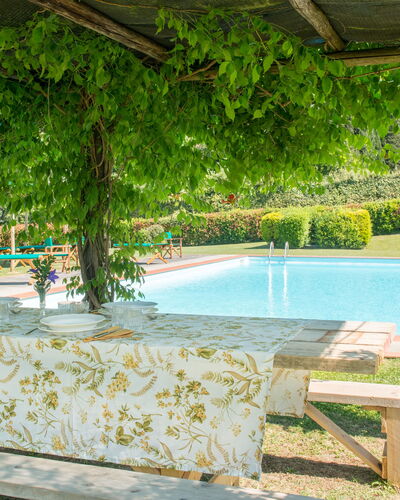 Martini: Sombra, Jardín, Piscina, Eco Hotel, Hacienda, Mueble Para Exteriores, Recurso, Patio Interior, Plantación, Estructura Al Aire Libre