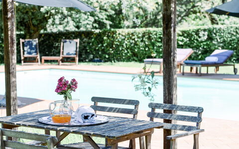 Fattoria: Mueble, Mueble Para Exteriores, Mesa Al Aire Libre, Silla, Sombra, Jardín, Maceta, Ocio, Patio Interior, Banco Al Aire Libre