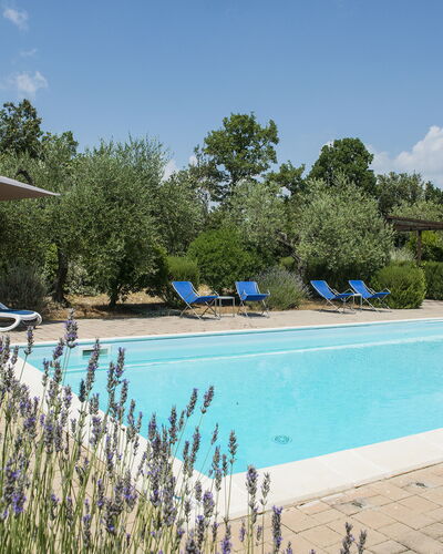 Villa El Olivar: Piscina, Jardín, Inmuebles, Paisajismo, Mueble Para Exteriores, Hacienda, Recurso, Villa, Patio Interior, Casa De Campo